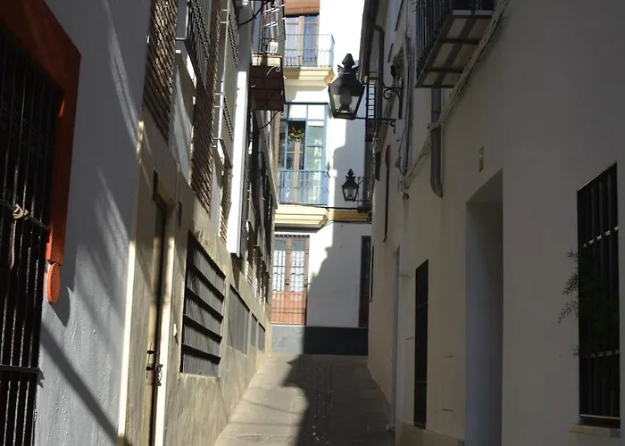Casa-Patio Axerquia